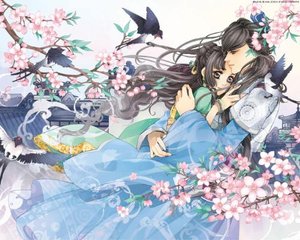 花季传播媒体v3 0 3 2免费版
